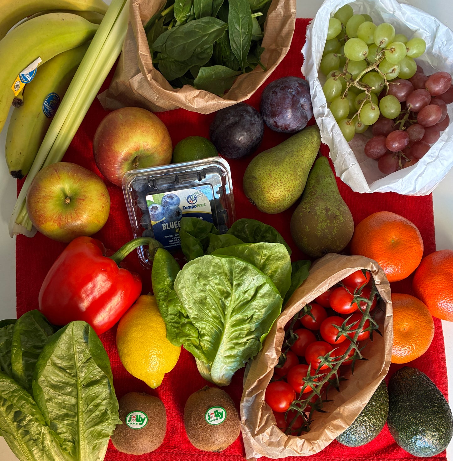Seasonal Fruit and Salad Box - Large